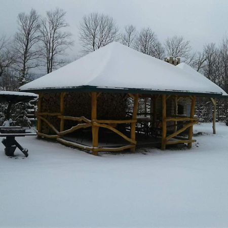 Karpaty Viking Motel Nizhneye Sinevidnoye Exterior photo