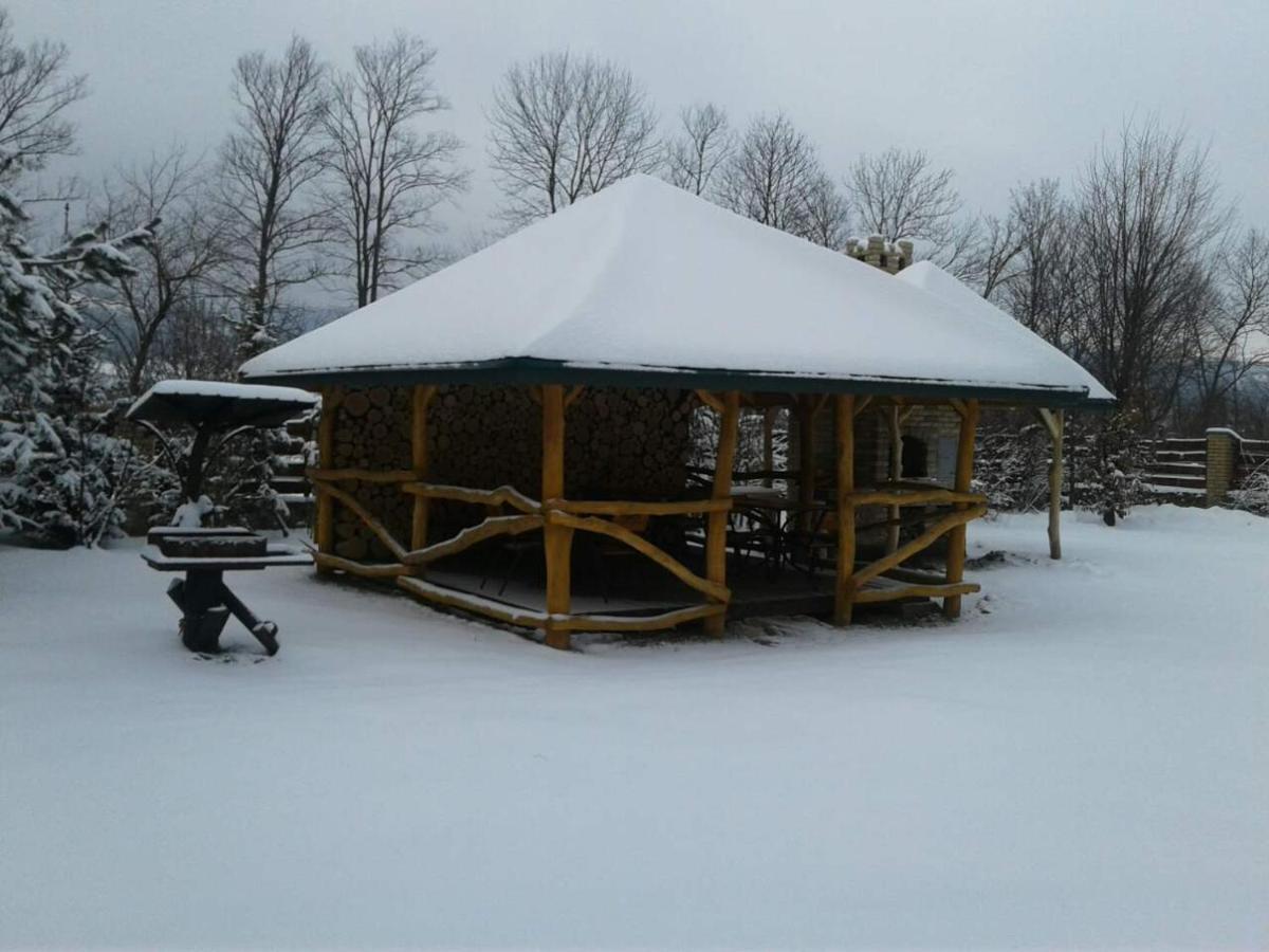 Karpaty Viking Motel Nizhneye Sinevidnoye Exterior photo