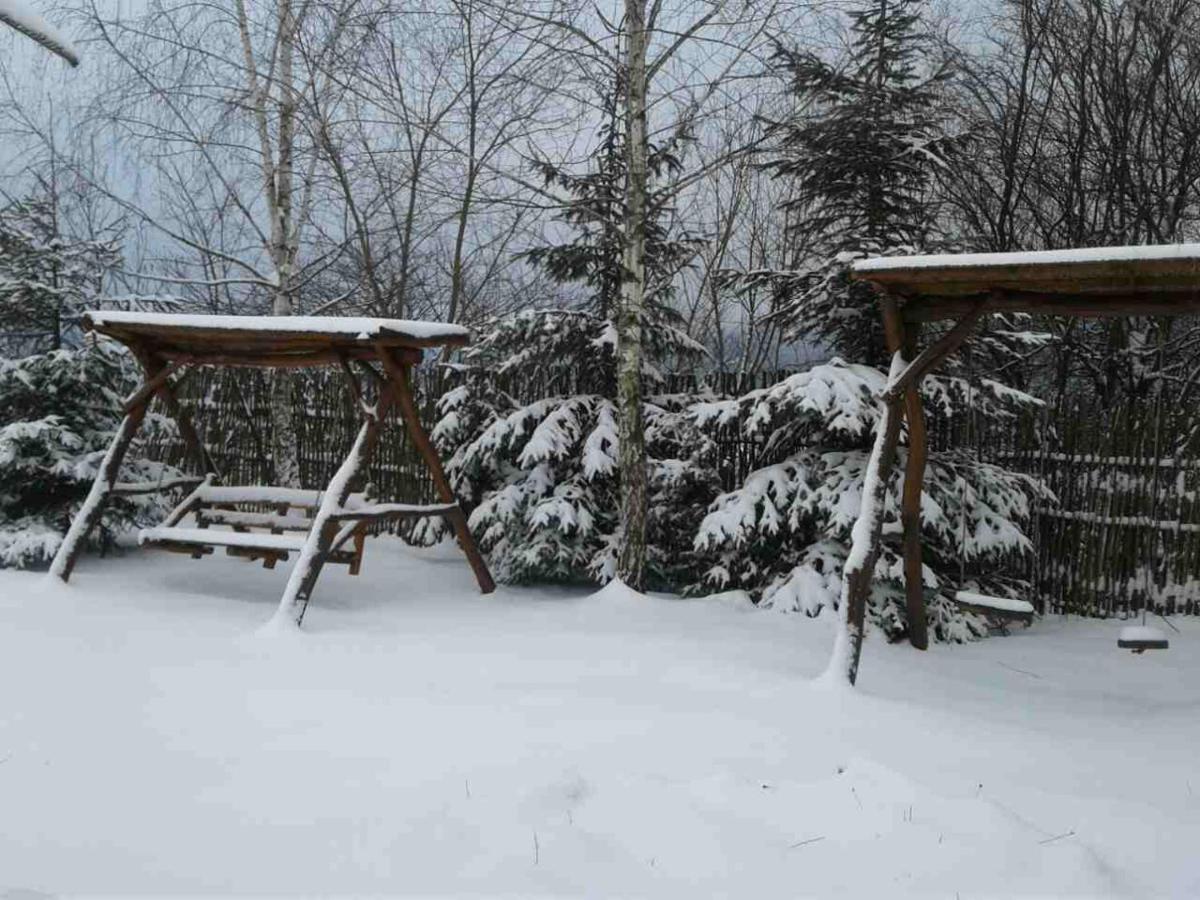Karpaty Viking Motel Nizhneye Sinevidnoye Exterior photo